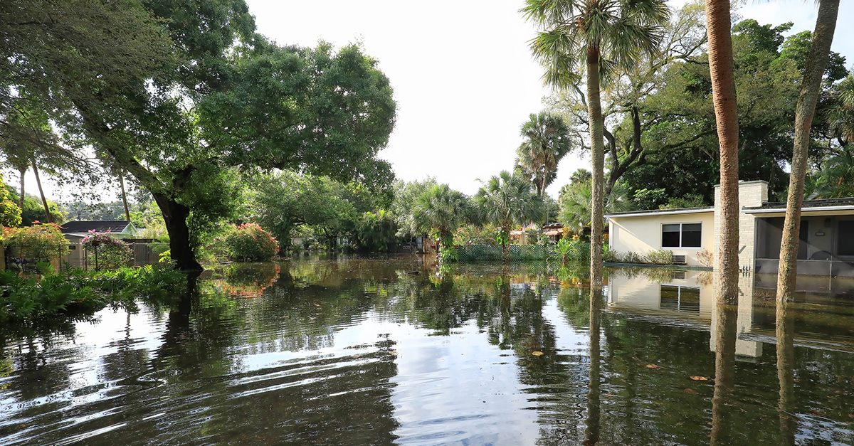 Rising Waters: How to Safeguard Your Home During Flood Season